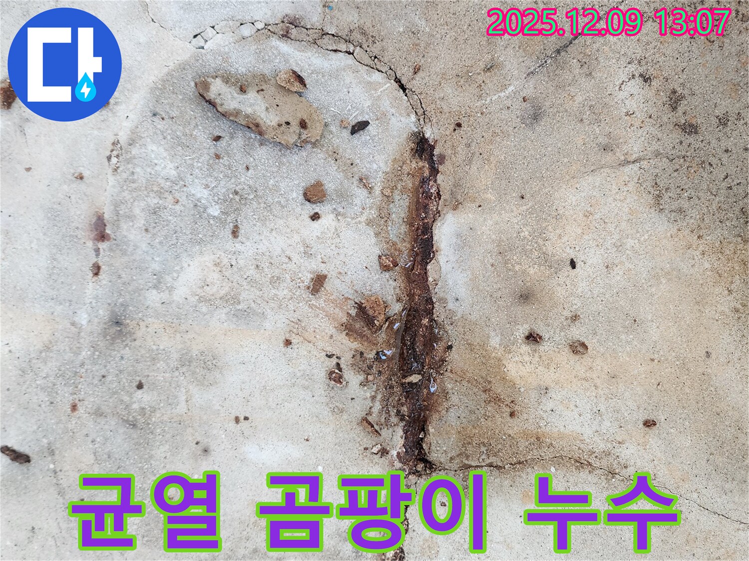 균열과 곰팡이 - 건강 위협