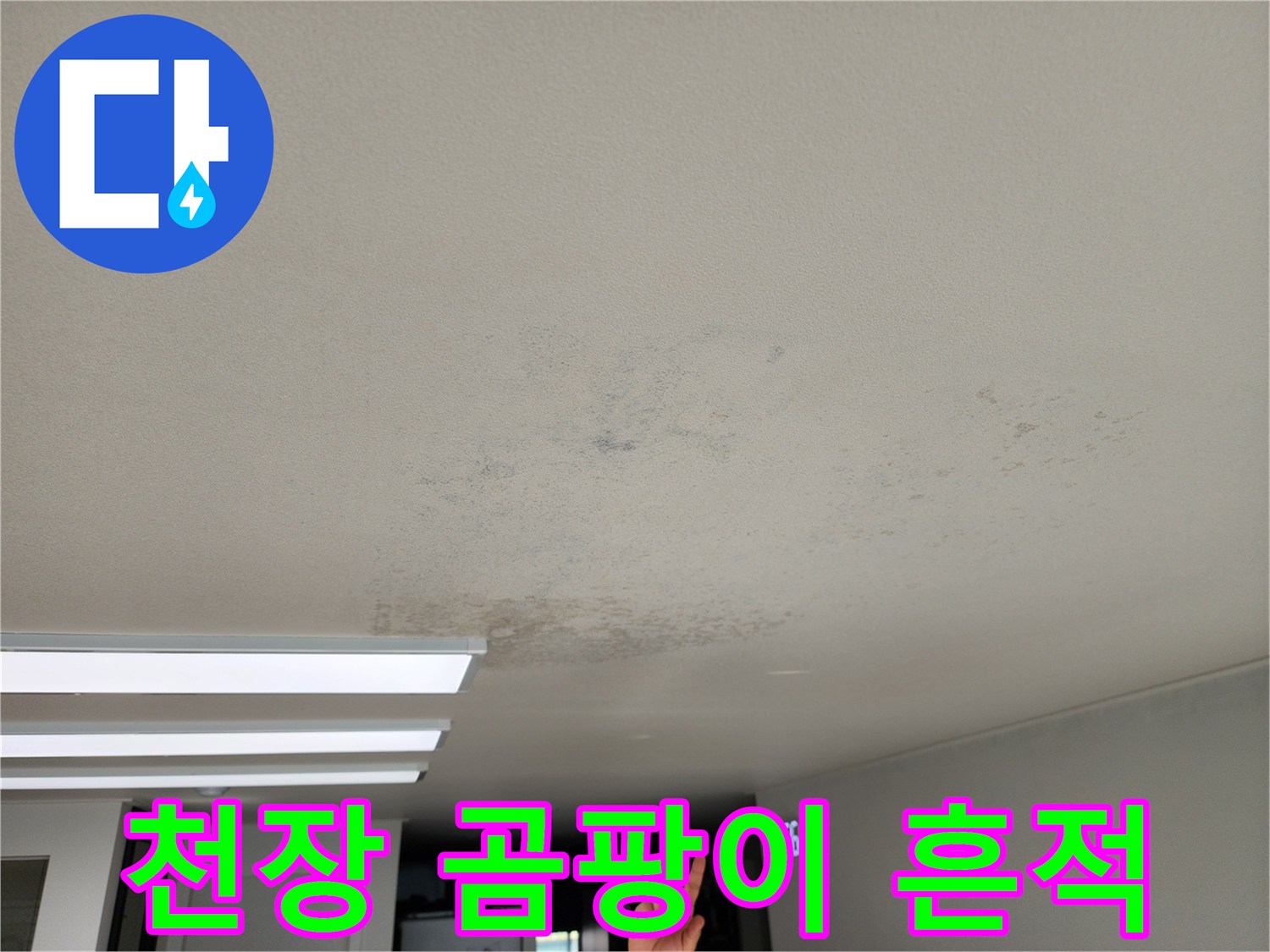 누수로 인해 발생한 천장 벽지의 푸른 곰팡이와 얼룩