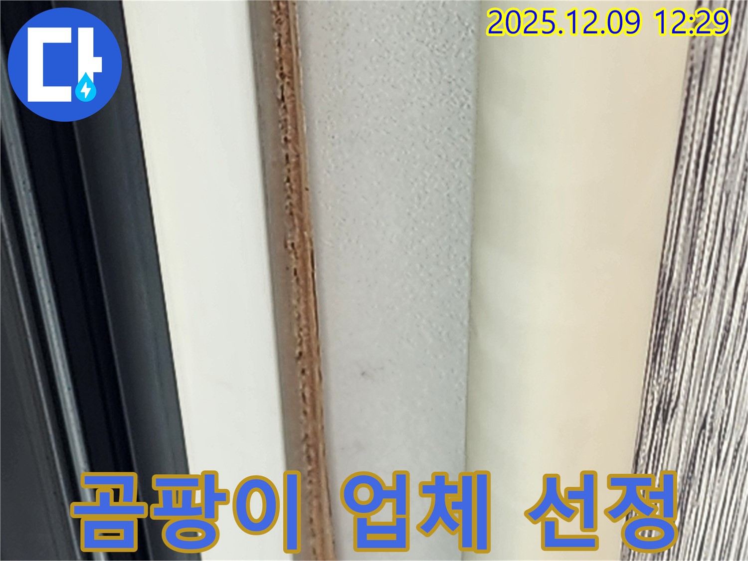문 안쪽 곰팡이 - 곰팡이 제거 업체 선정 시 주의사항은?