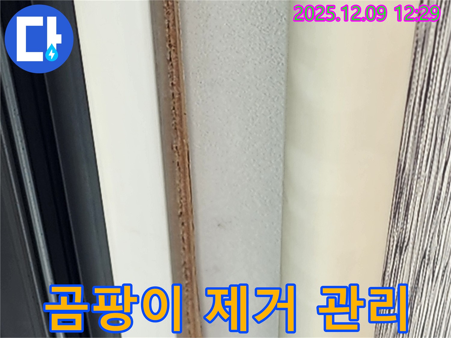 문 주변 곰팡이 - 곰팡이 제거 후 관리법은?