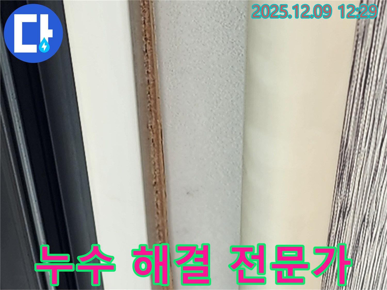 문틀 곰팡이 - 누수 해결 전문가에게 맡기세요.