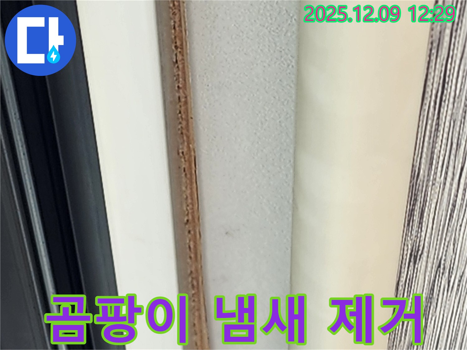 문틀 안쪽 곰팡이 - 곰팡이 냄새, 어떻게 없앨까요?