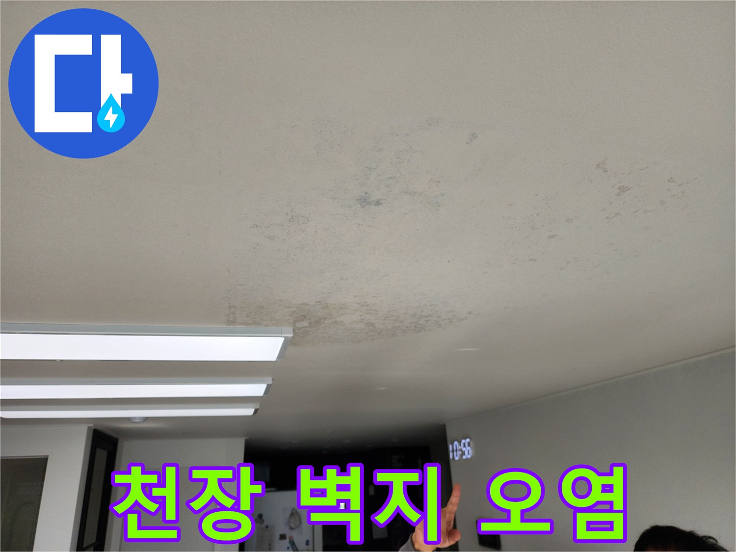 물샘으로 인해 젖어 있는 천장 마감재 표면