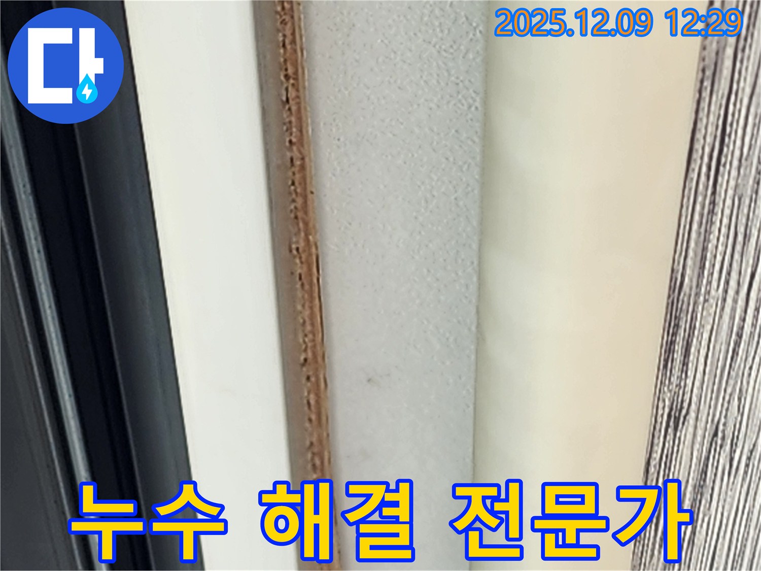 벽 틈새 곰팡이 - 누수 해결 전문가에게 맡기세요.