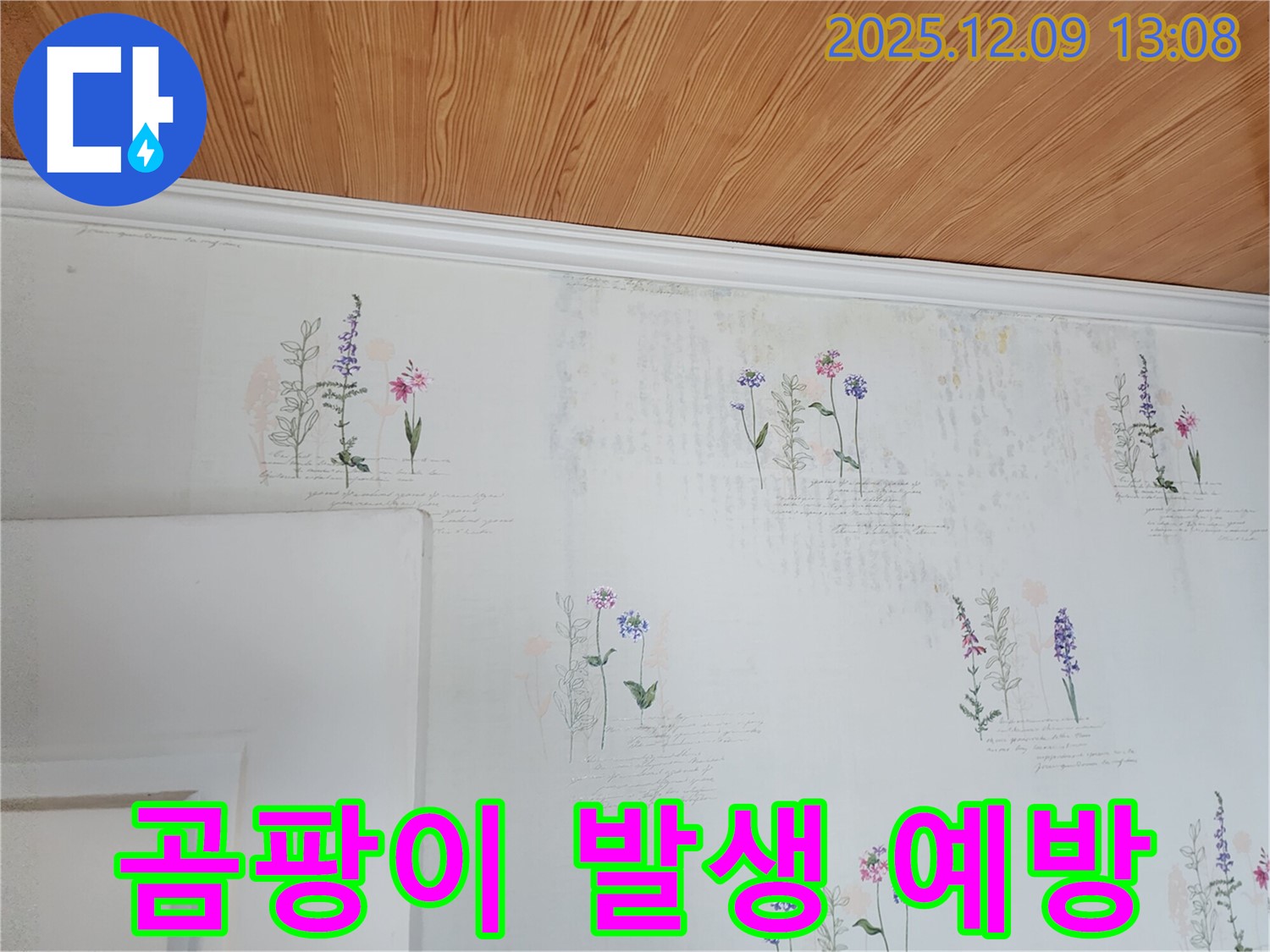 벽지 곰팡이 - 발생 가능성 - 사전 예방