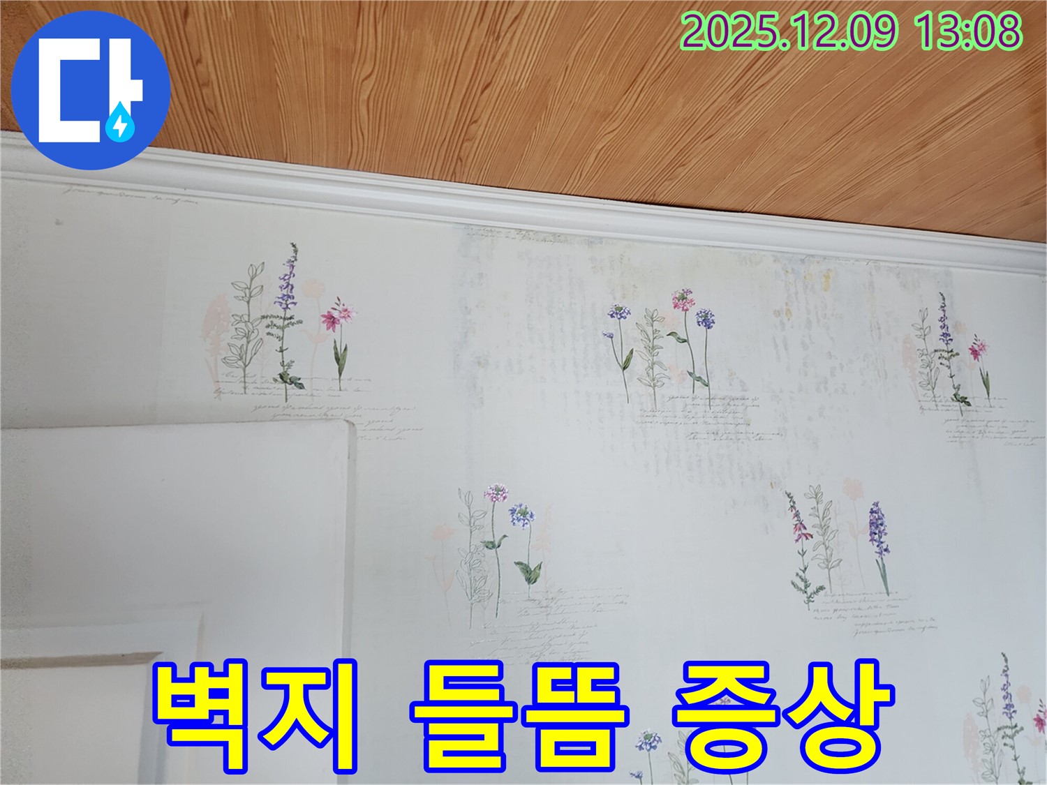벽지 들뜸 현상 - 누수 초기 증상 - 의심
