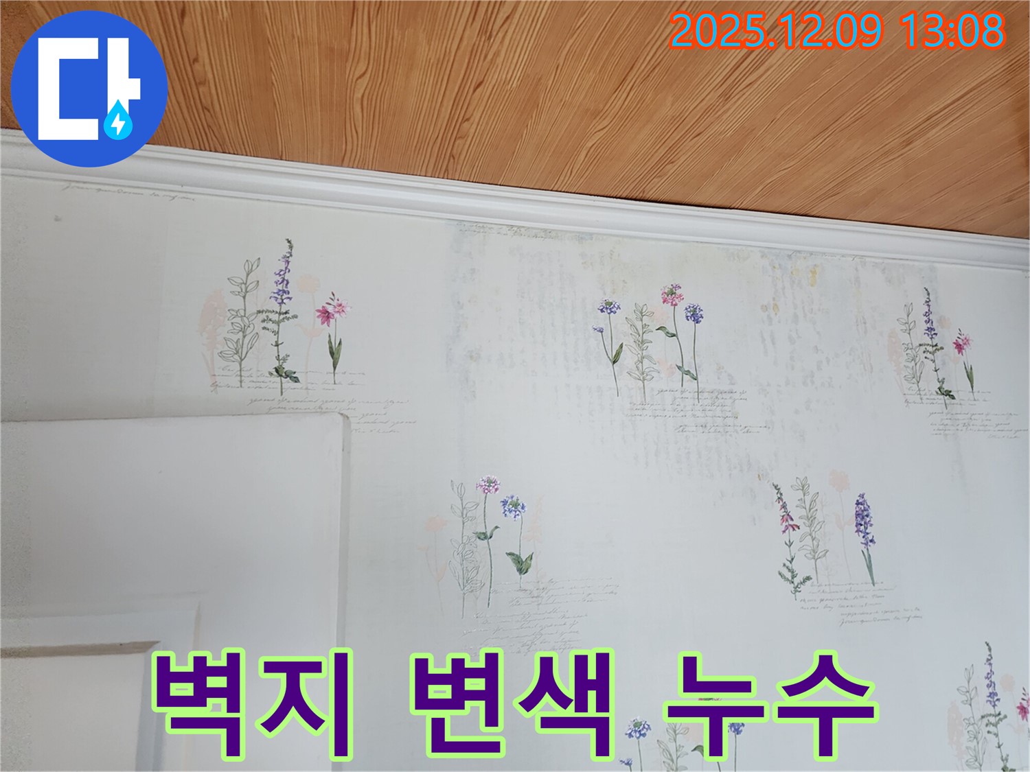 벽지 변색 - 숨겨진 누수 - 꼼꼼한 탐지