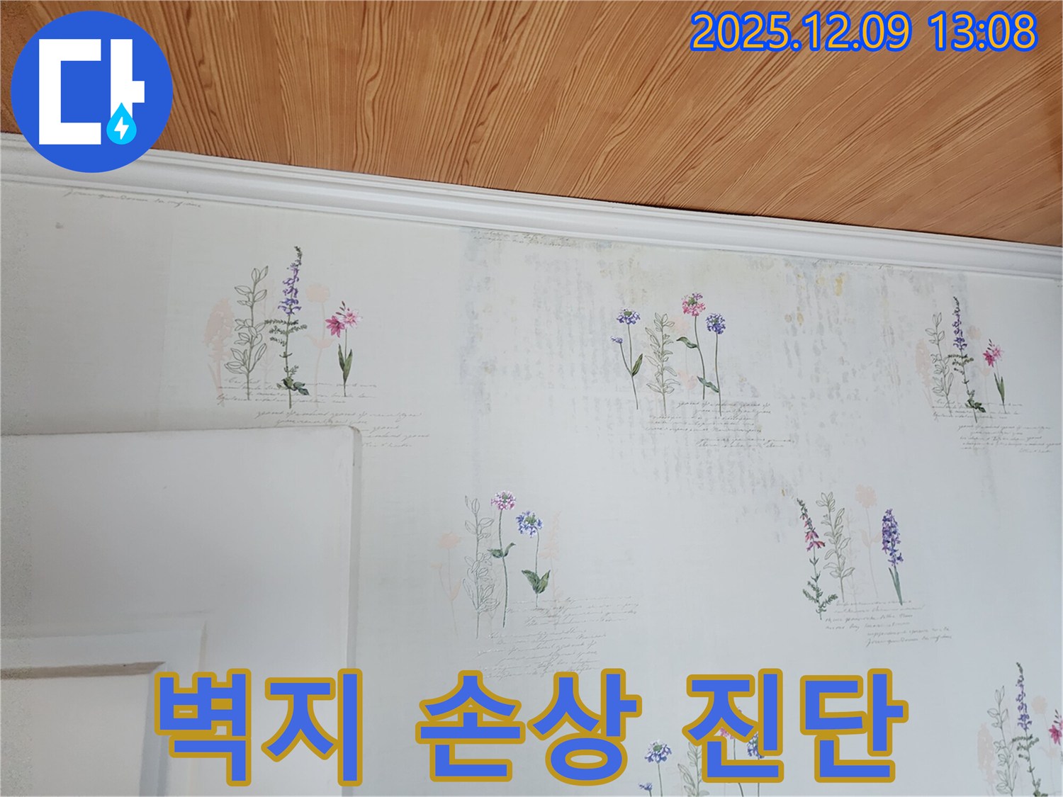 벽지 손상 - 숨겨진 누수 - 정밀 진단