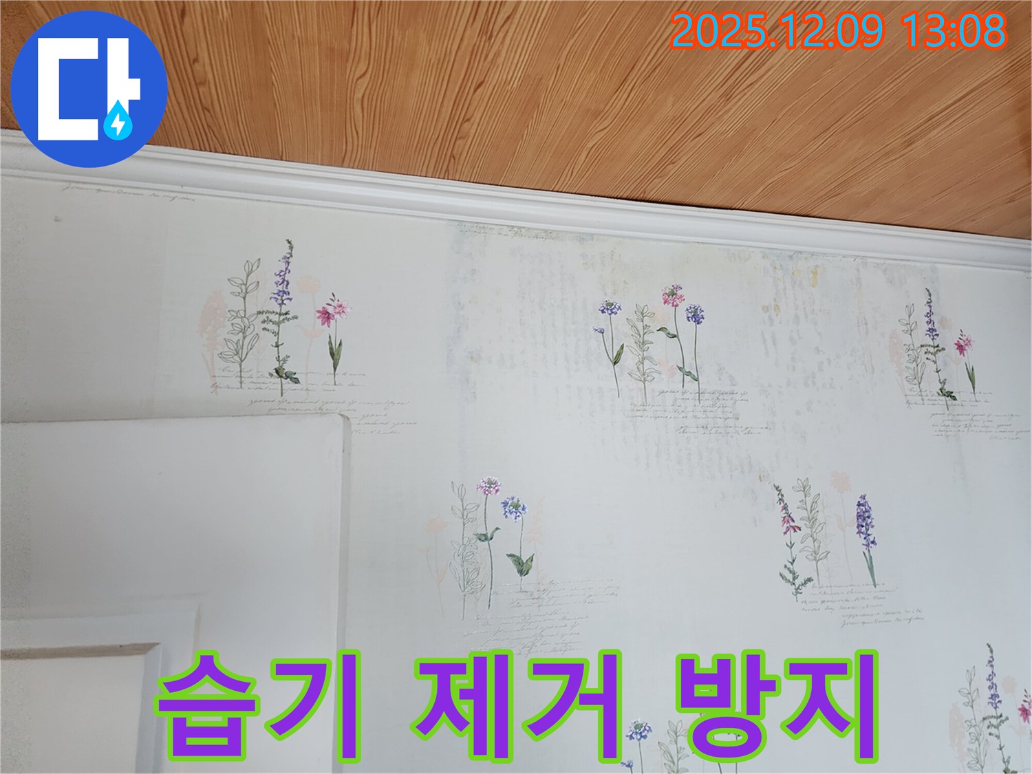 벽지 습기 제거 - 곰팡이 방지 - 확실한 시공