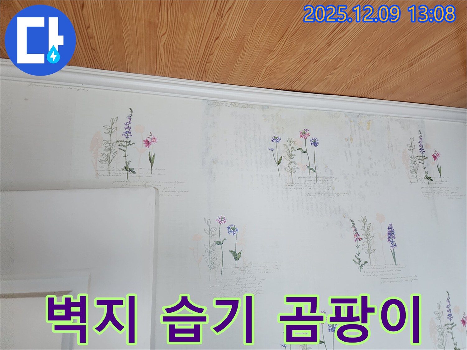 벽지 습기 제거 - 곰팡이 예방 - 완벽 시공