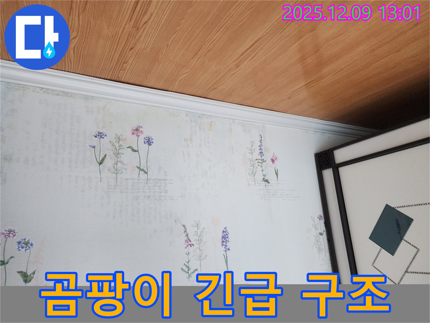 성동리 누수 현장 - 곰팡이 아마겟돈 직전 긴급 구조 작전 성공