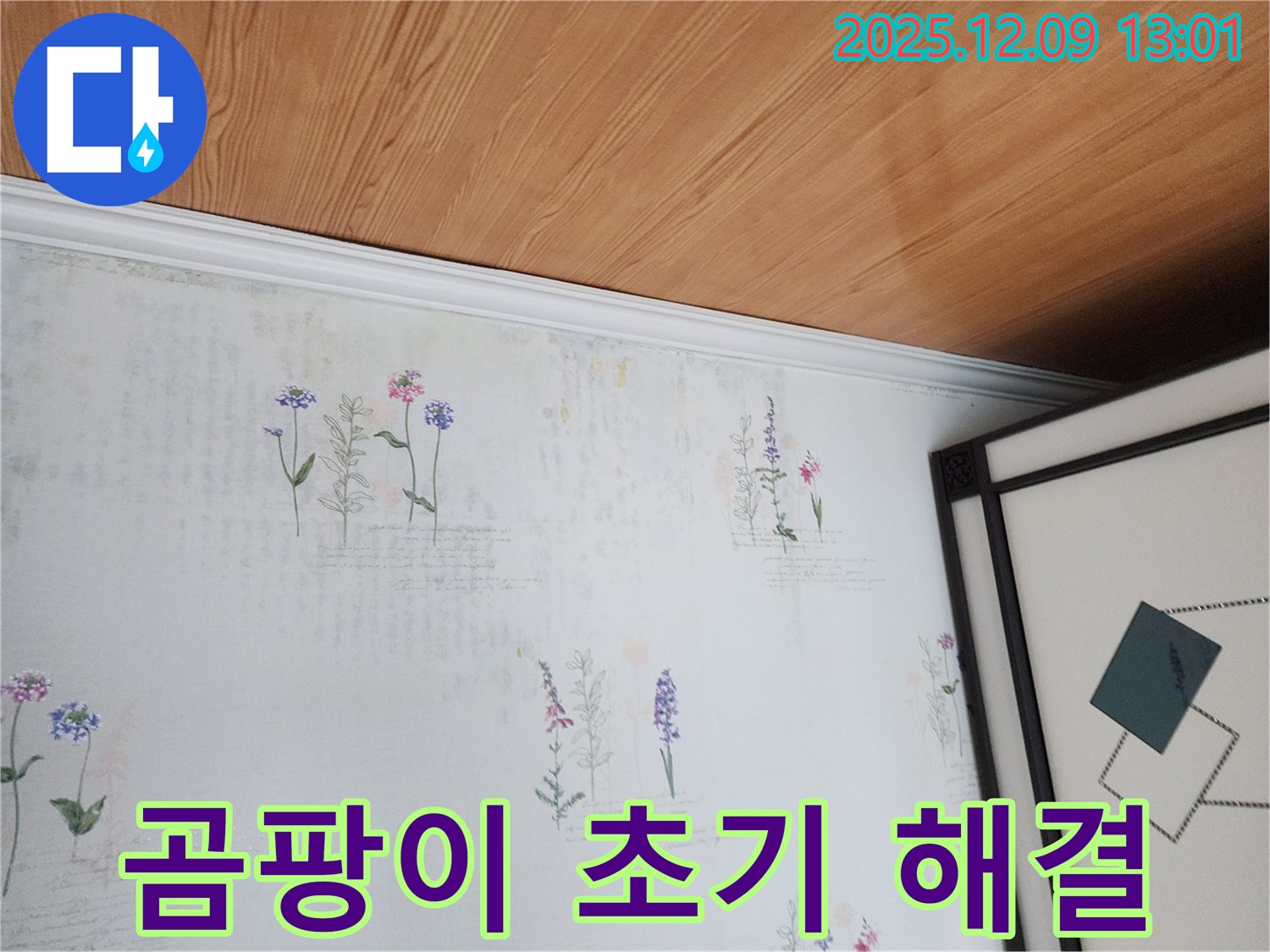 성동리 누수 현장 - 곰팡이 초기 단계 발견 및 신속 대응