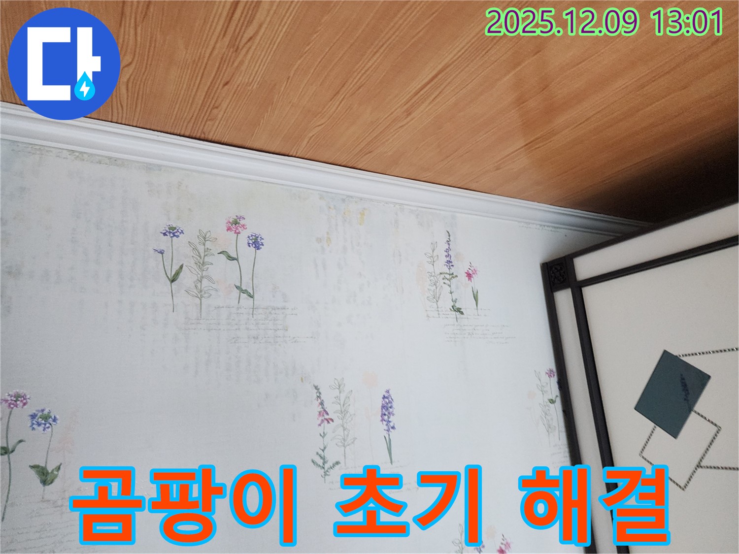 성동리 누수 현장 - 곰팡이 초기 단계 발견 및 해결