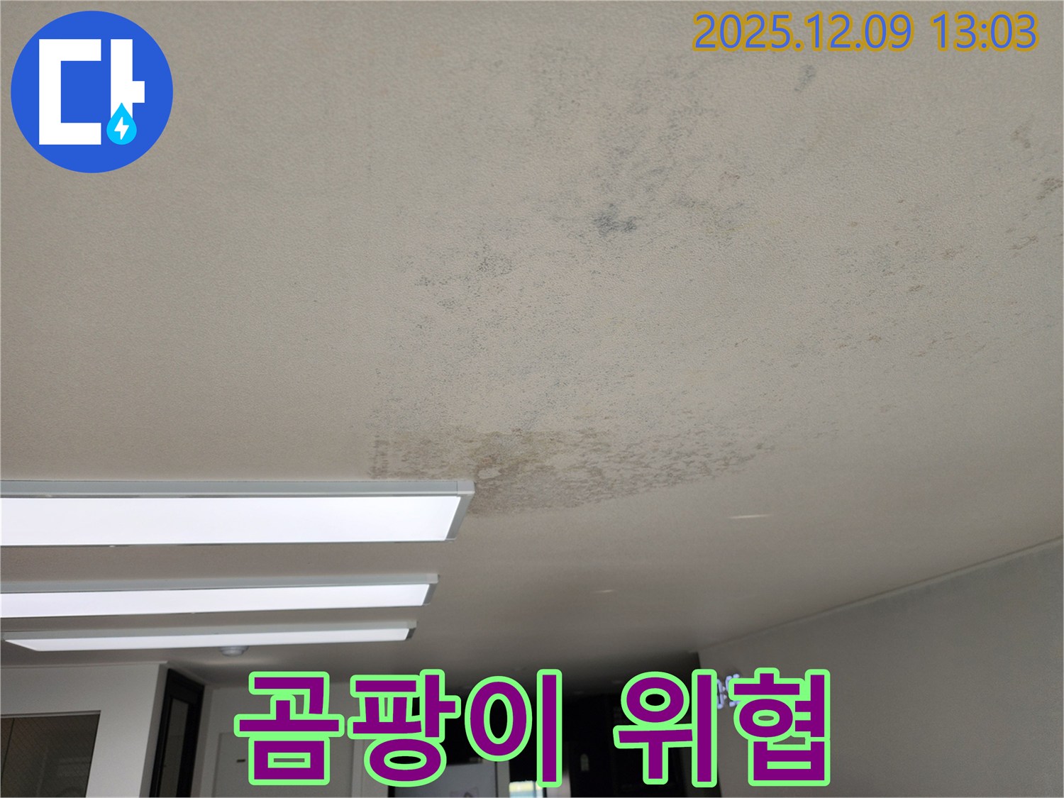 성동리 - 천장 누수 곰팡이 냄새 건강 위협