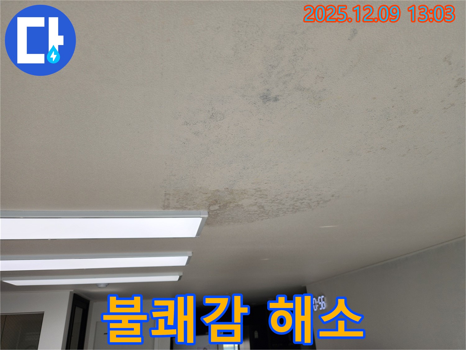 성동리 - 천장 누수 곰팡이 냄새 불쾌감 해소 - 상쾌하게
