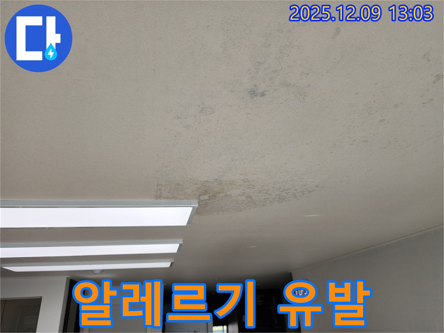 성동리 - 천장 누수 곰팡이 알레르기 유발 - 쾌적한 환경으로