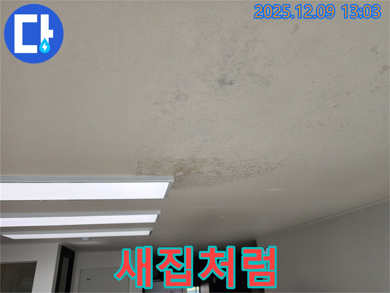 성동리 - 천장 누수 곰팡이 완벽 제거 - 새집처럼