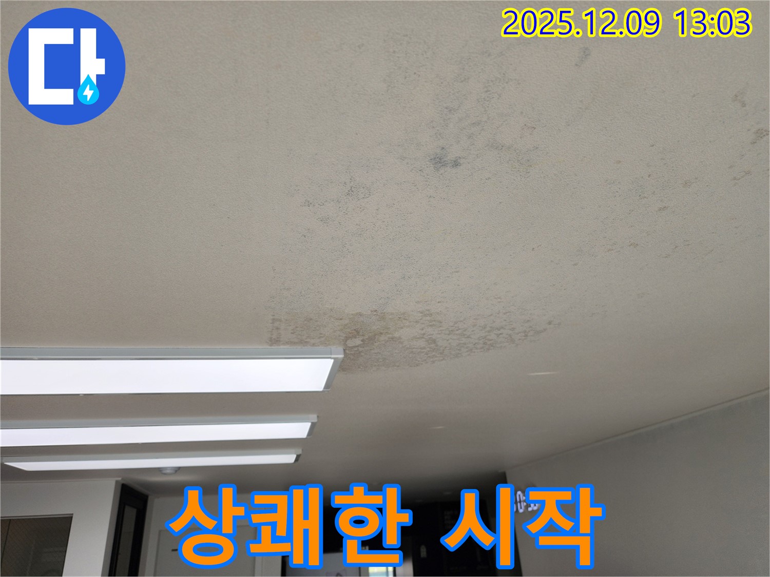 성동리 - 천장 누수 곰팡이 완벽 해결 - 상쾌한 하루 시작
