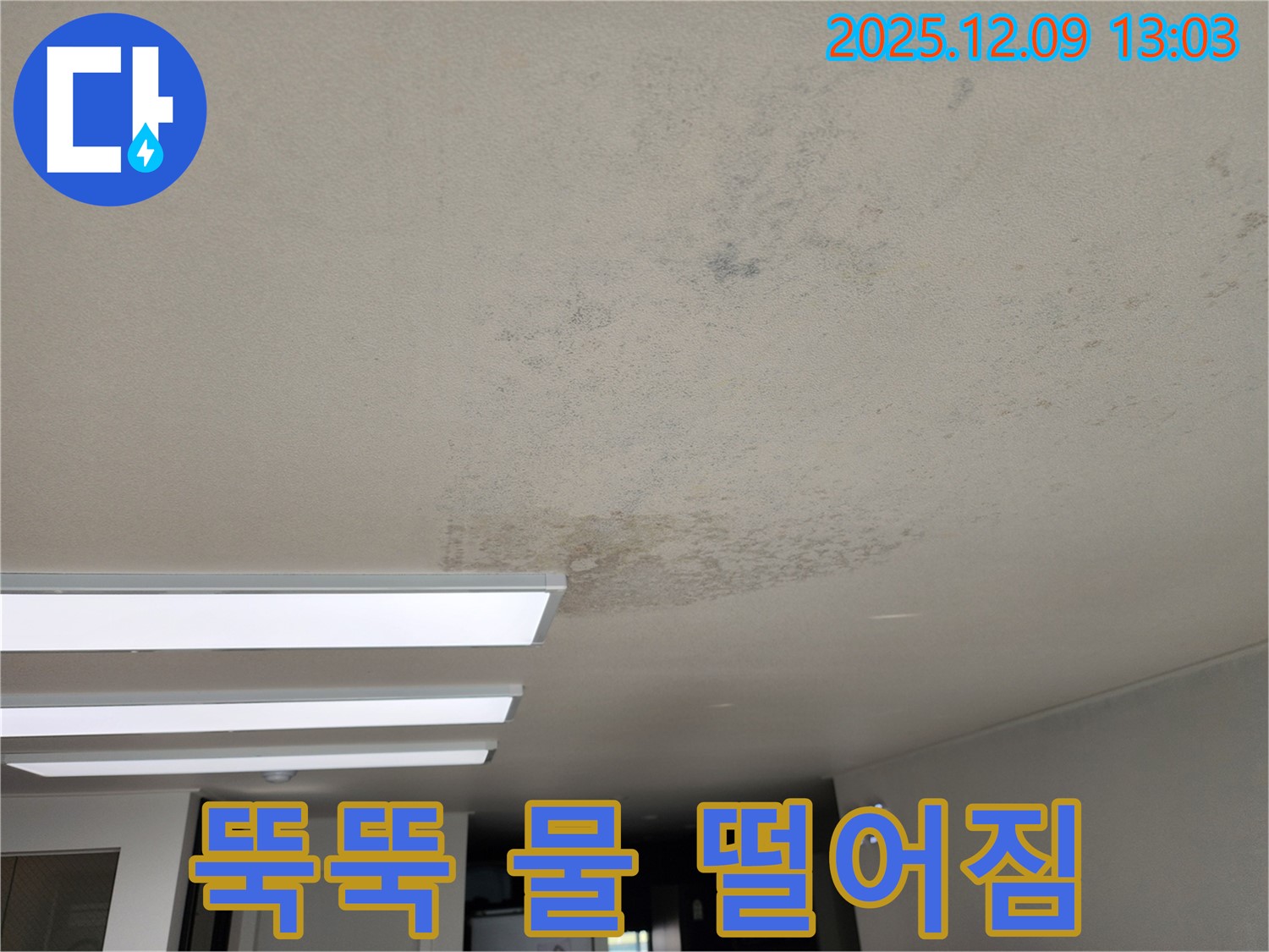 성동리 - 천장 누수 뚝뚝 떨어지는 물