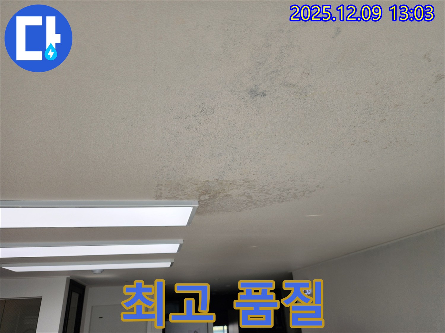 성동리 - 천장 누수 합리적인 가격 최고의 품질