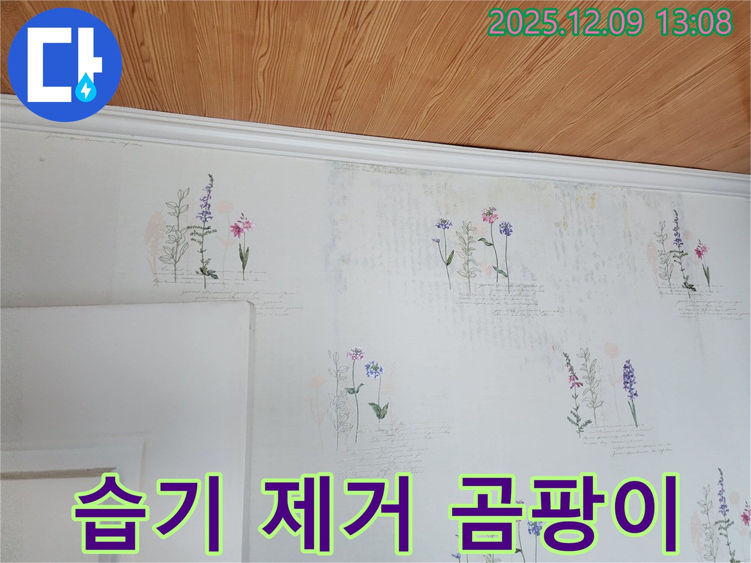 습기 제거 - 곰팡이 방지 - 전문 시공