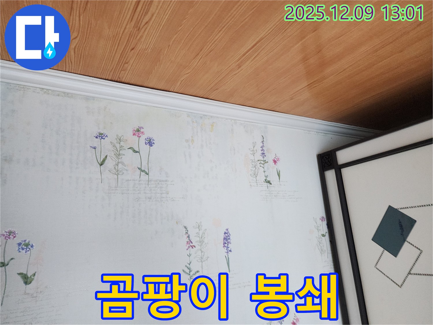 영중면 성동리 누수 현장 - 곰팡이 깨끗하게 청소하고 완벽하게 봉쇄