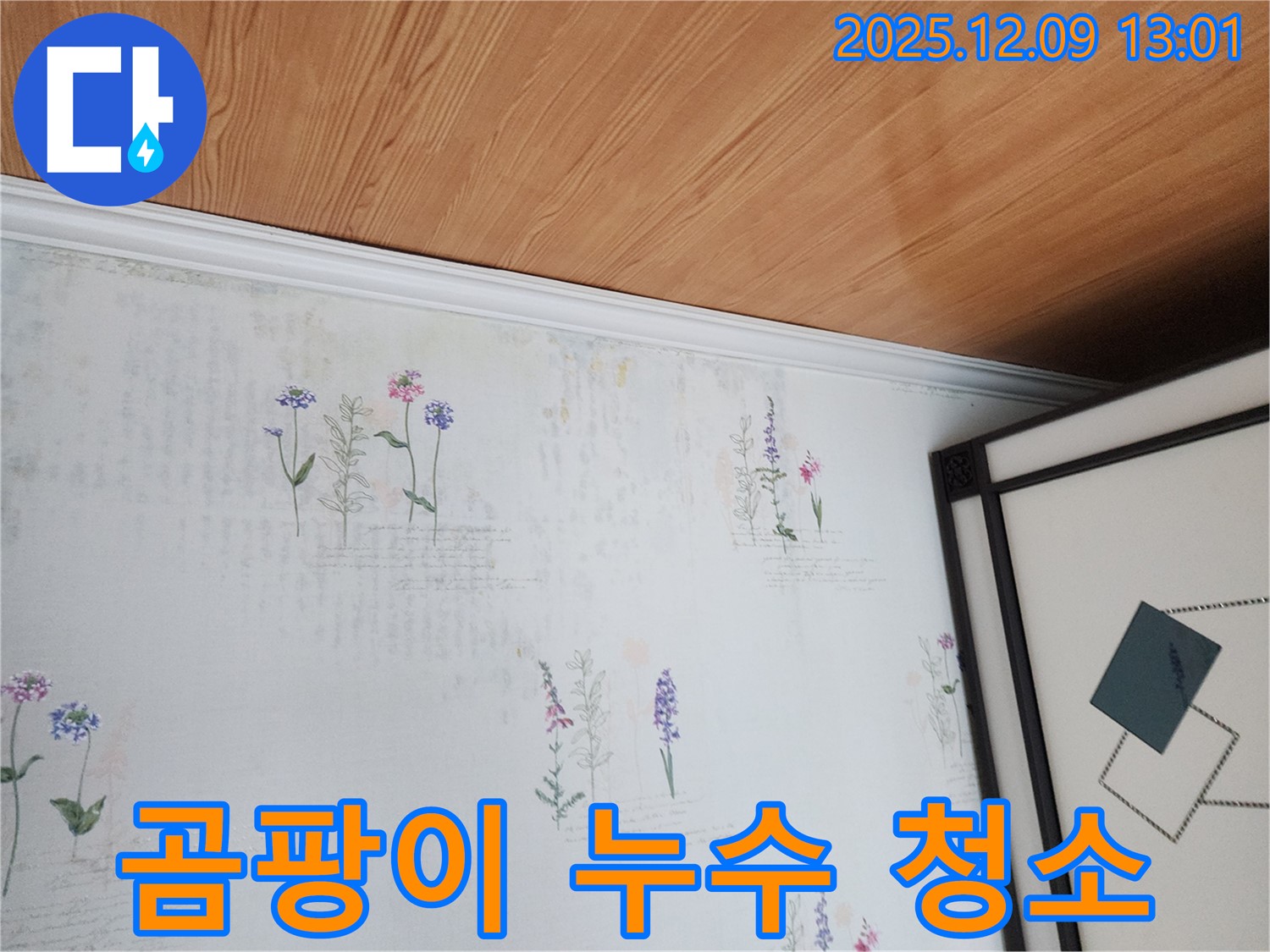 영중면 성동리 누수 현장 - 곰팡이 문제 깨끗하게 청소하는 과정 상세 사진