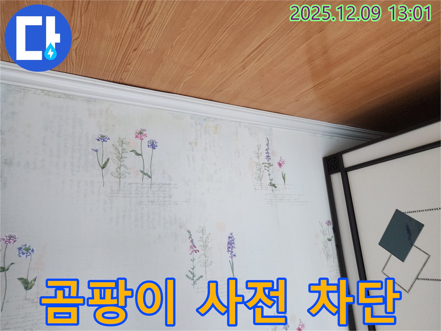영중면 성동리 누수 현장 - 곰팡이 사전 진단 및 완벽 차단