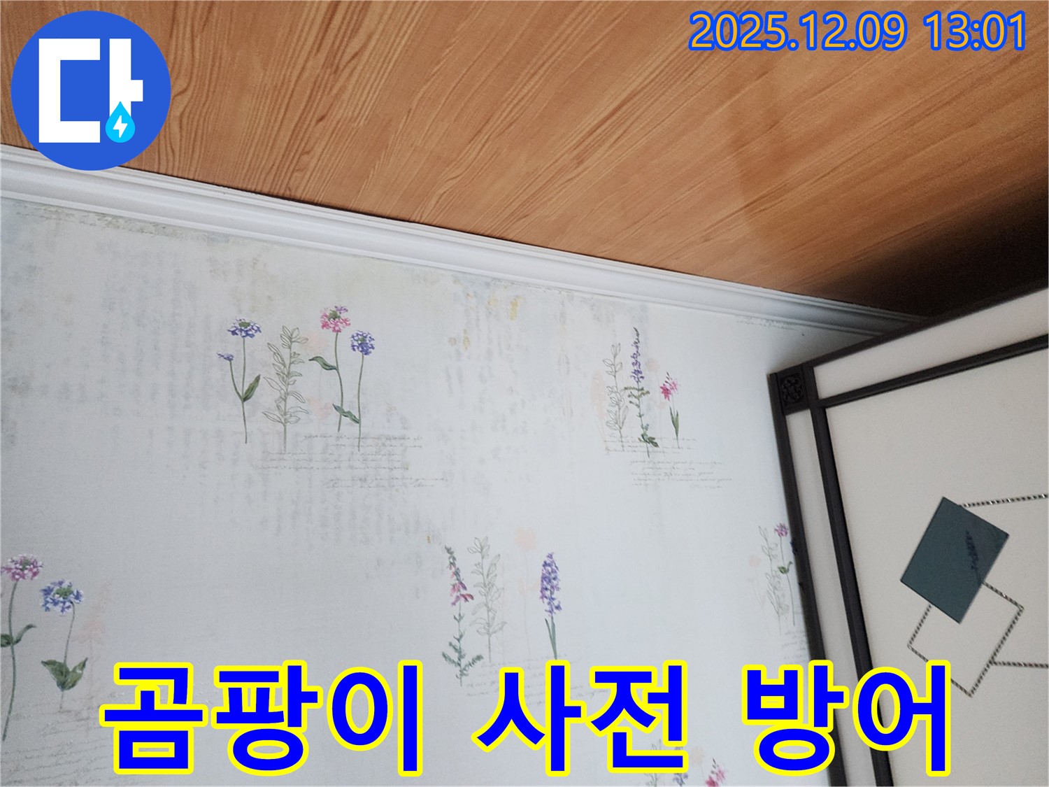 영중면 성동리 누수 현장 - 곰팡이 사전 차단 및 완벽 방어