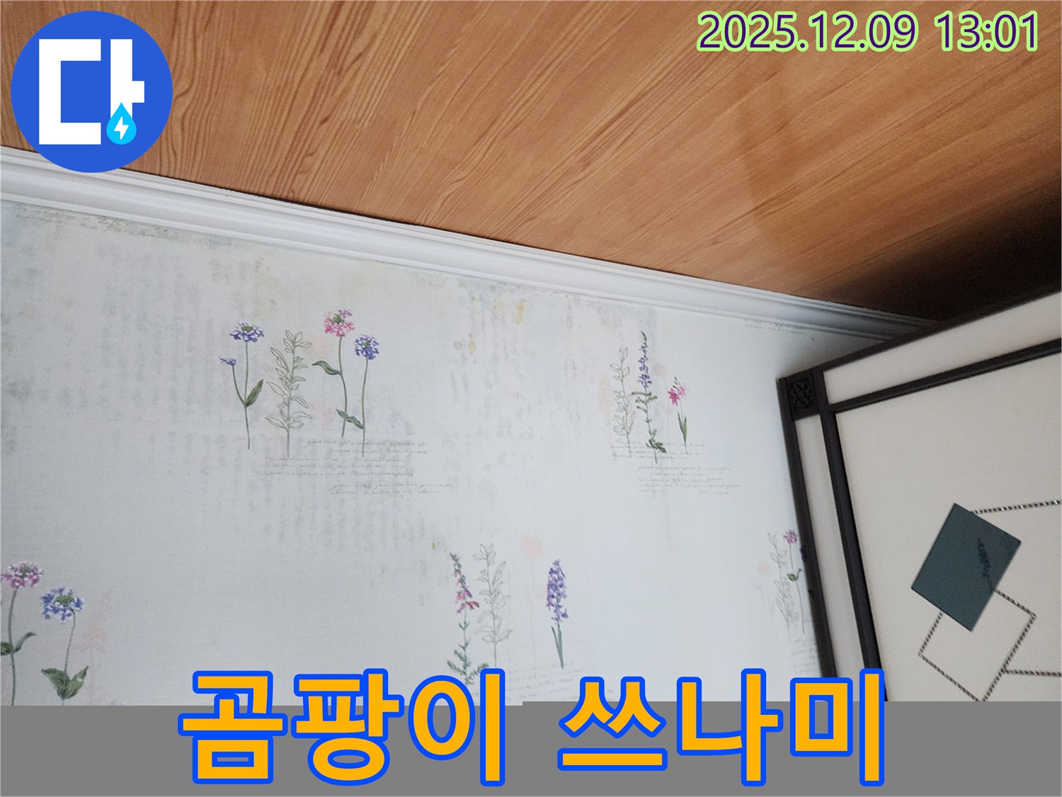 영중면 성동리 누수 현장 - 곰팡이 쓰나미 덮치기 1분 전