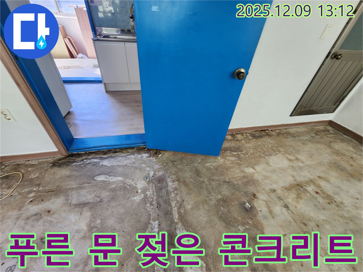 영중면 성동리 누수탐지 - 푸른 문 주변 젖은 콘크리트 확인