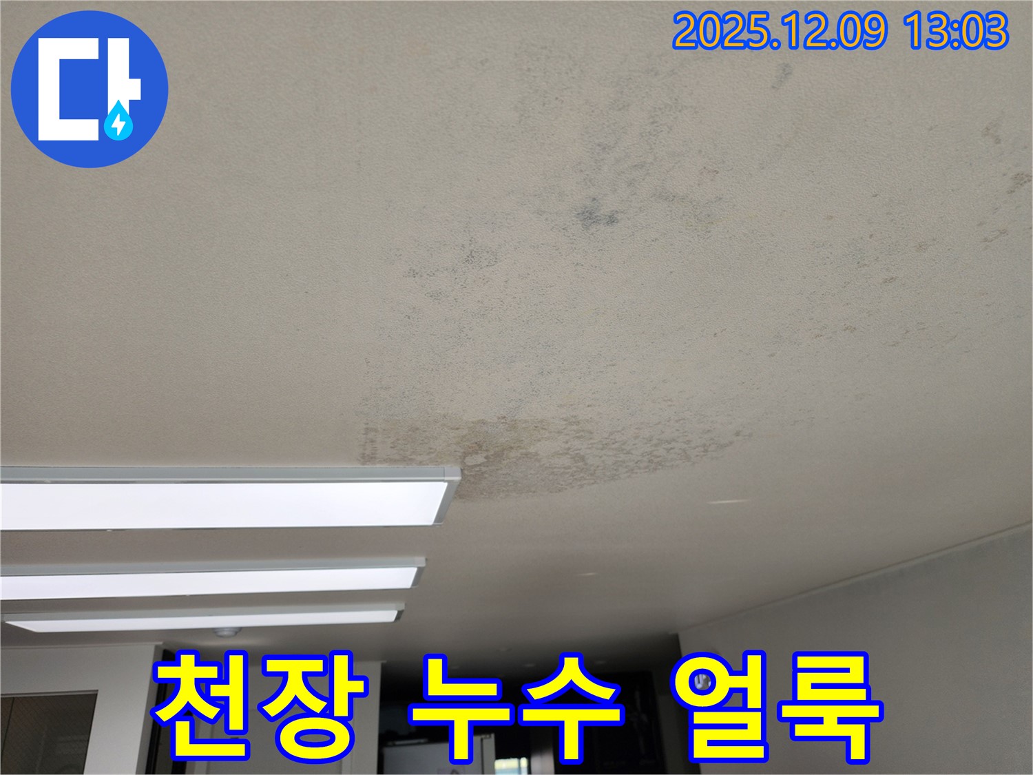 영중면 성동리 천장 누수 - 누수 얼룩