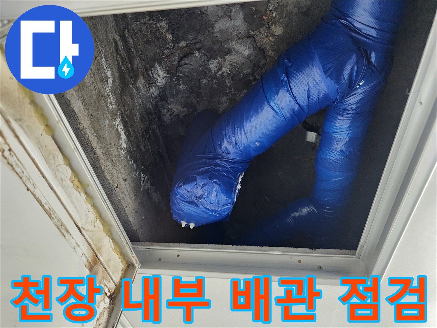 점검구 안쪽의 젖은 파란색 배관과 콘크리트 벽면