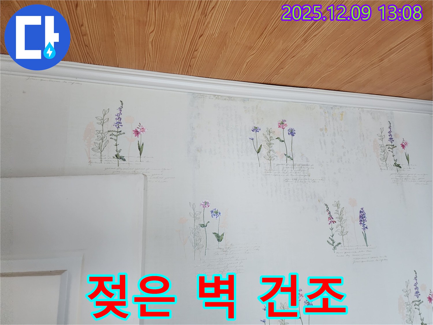 젖은 벽 - 완벽 건조 - 곰팡이 제거