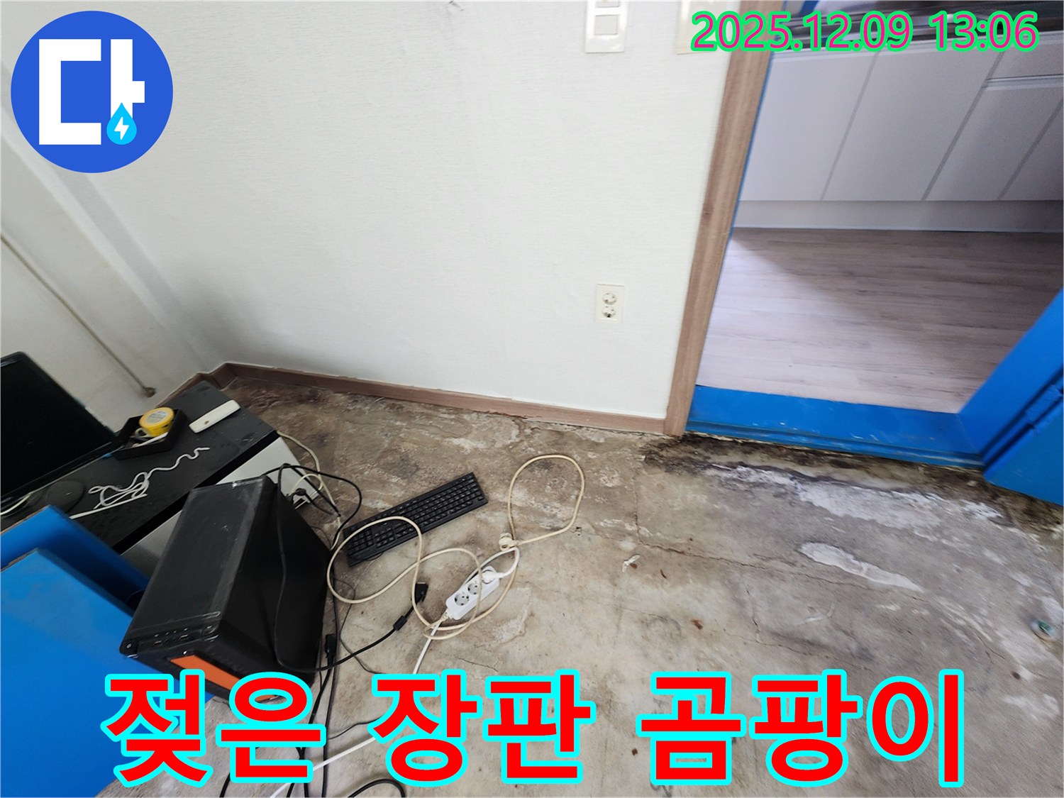 젖은 장판 - 젖은 장판은 곰팡이 번식을 촉진합니다 - 건강에 해로울 수 있습니다.