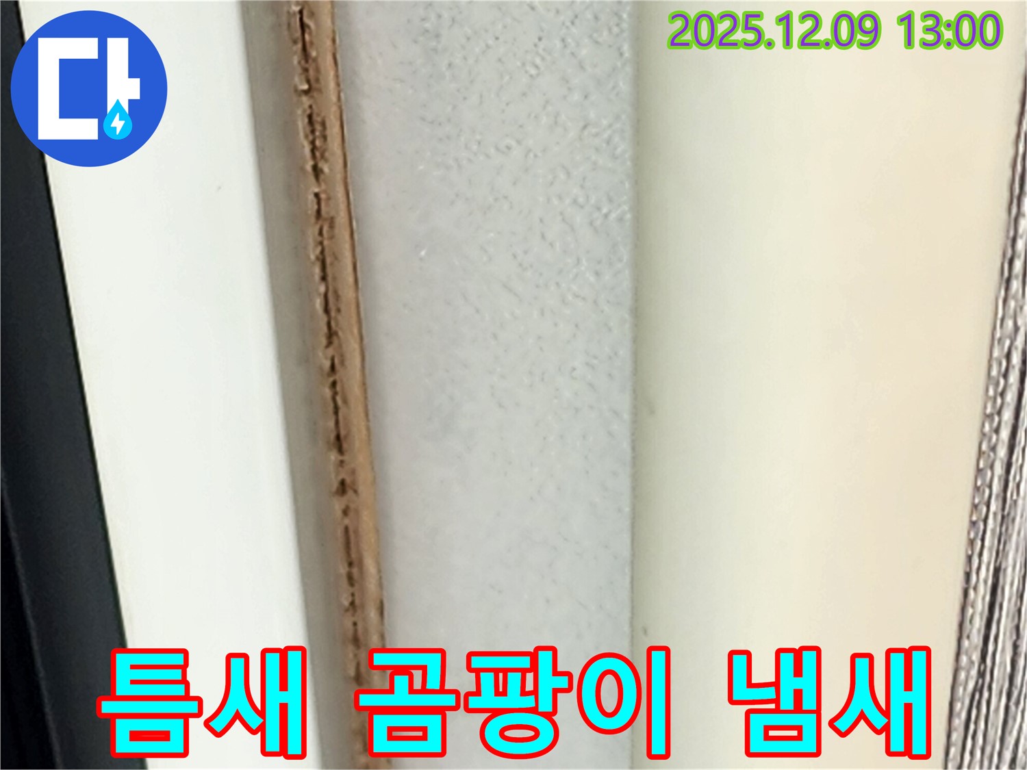 창틀 틈새 곰팡이 냄새 - 건강에 해로울 수 있습니다.