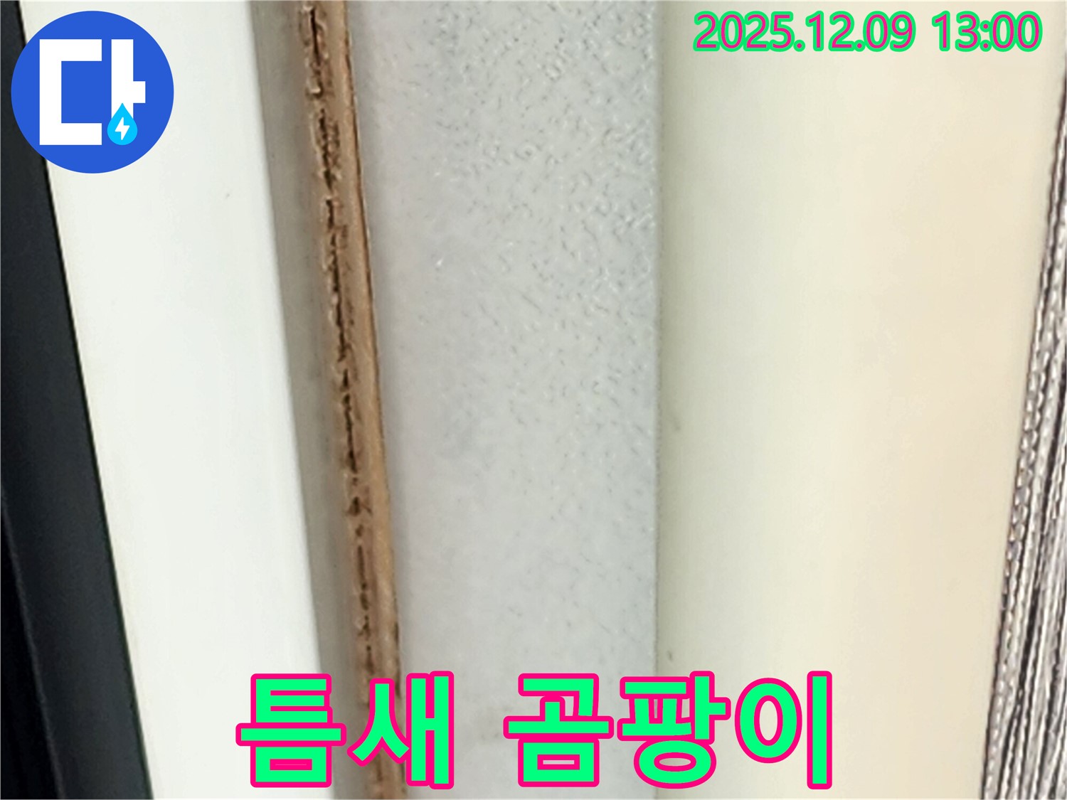 창틀 틈새 곰팡이 - 쾌적한 환경을 저해합니다.