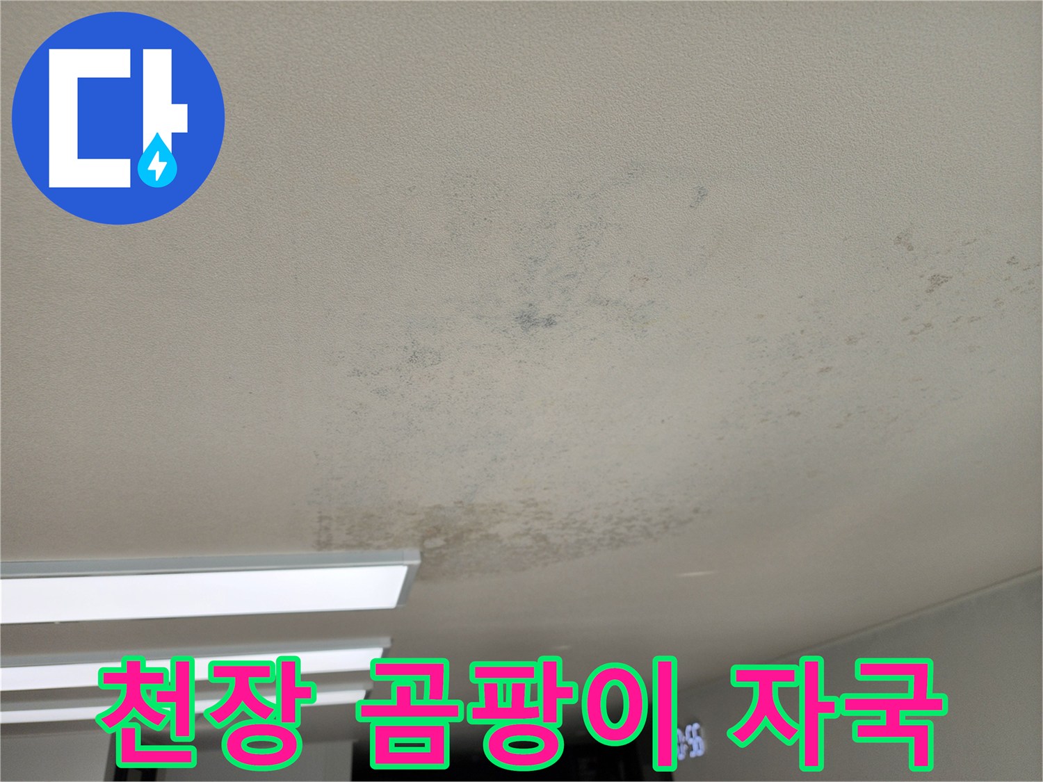 천장 구석까지 번진 곰팡이와 물자국 현장