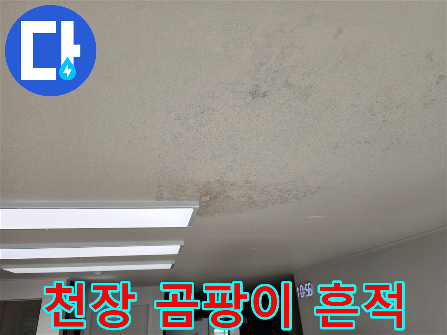 천장 마감재에 나타난 곰팡이 및 습기 자국