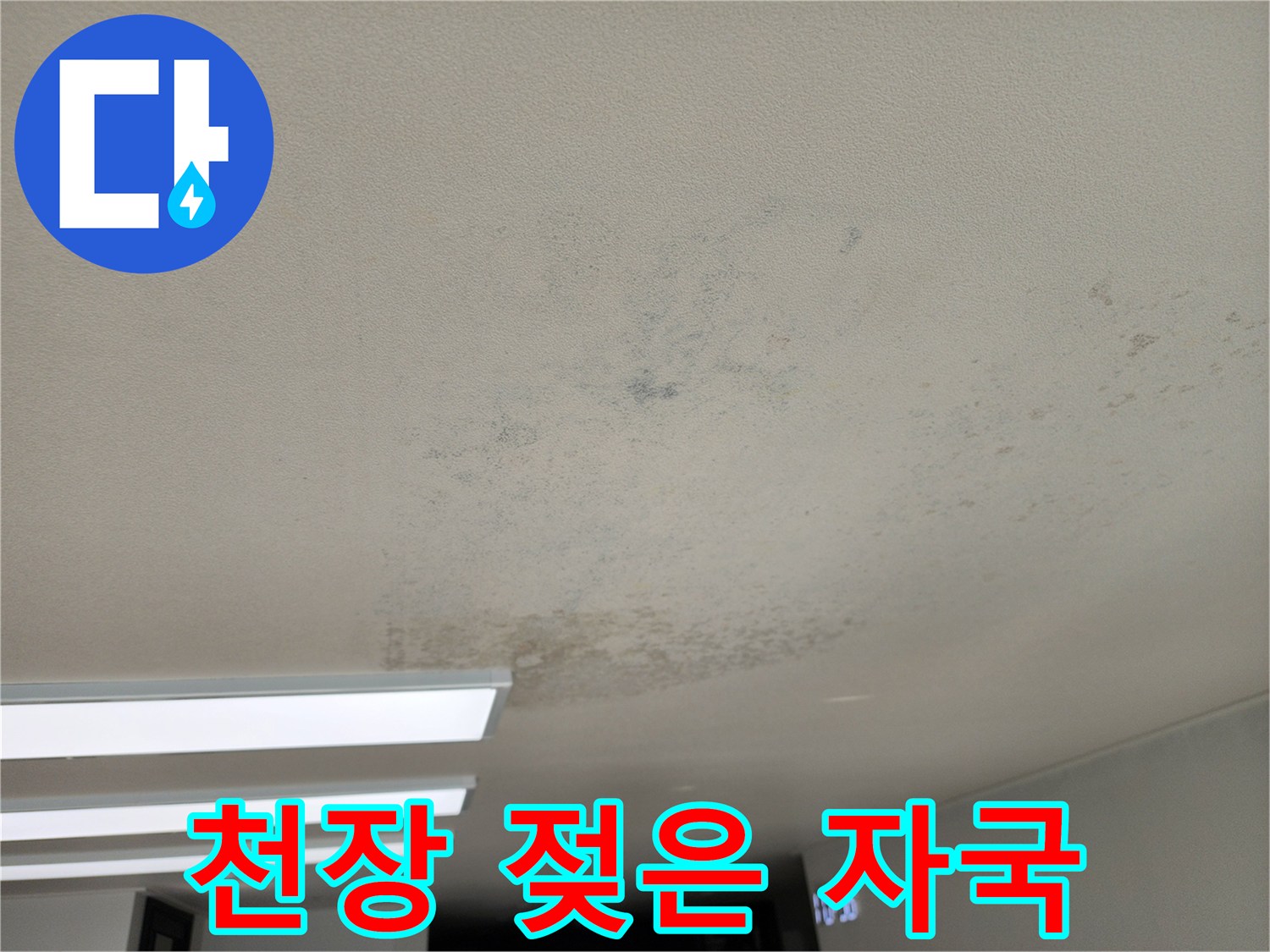 천장 마감재에 넓게 퍼진 누수 및 습기 흔적