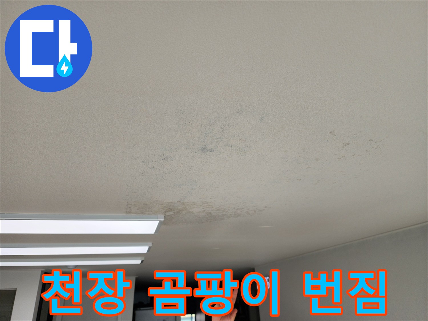 천장 마감재에 발생한 곰팡이 및 얼룩 현상