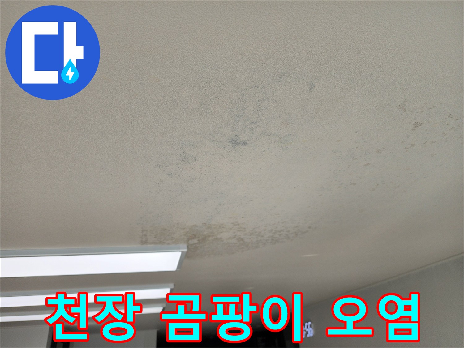 천장 마감재의 넓은 범위 곰팡이 및 얼룩