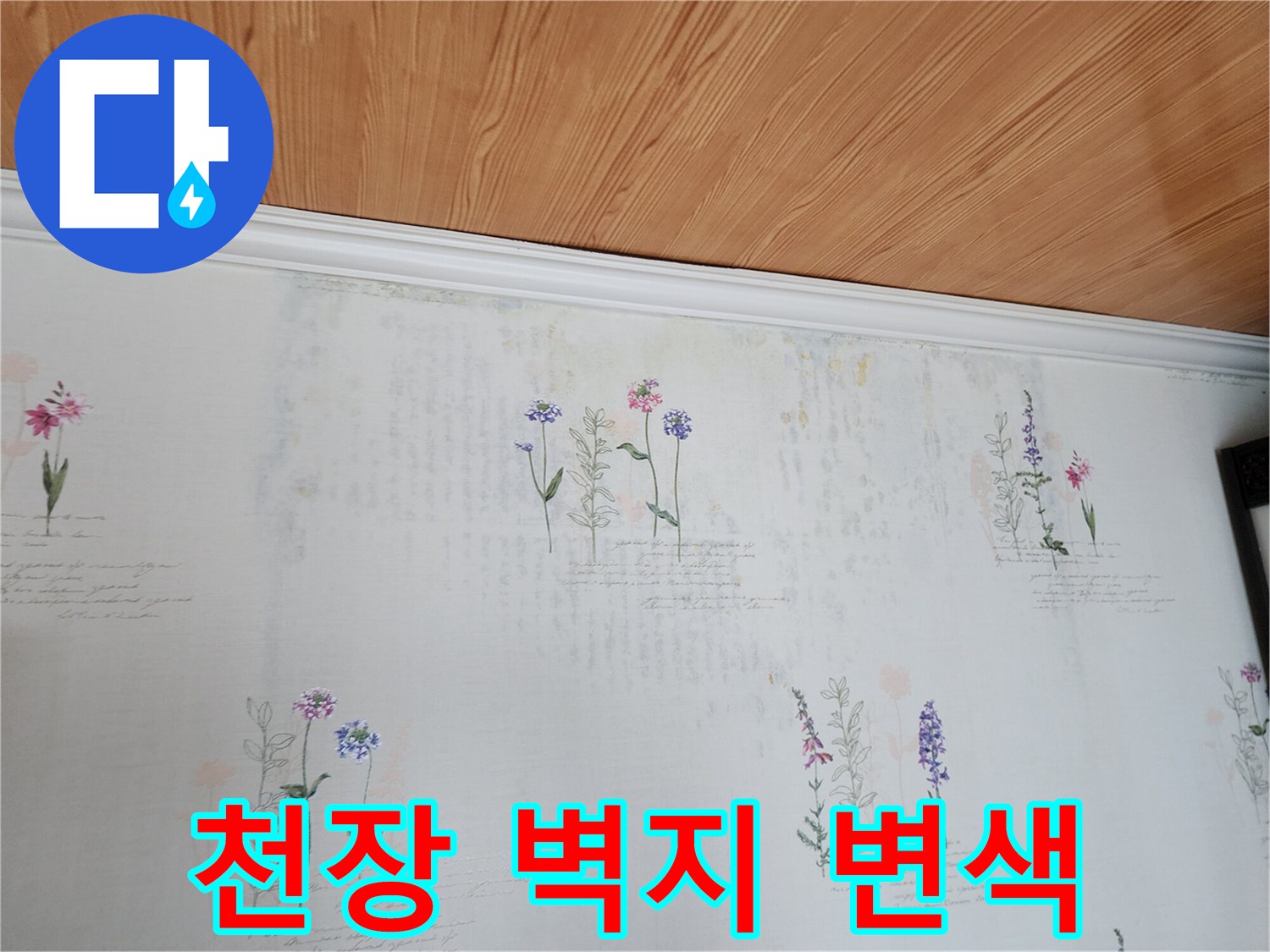 천장 벽지의 미세한 얼룩과 변색 부위 촬영