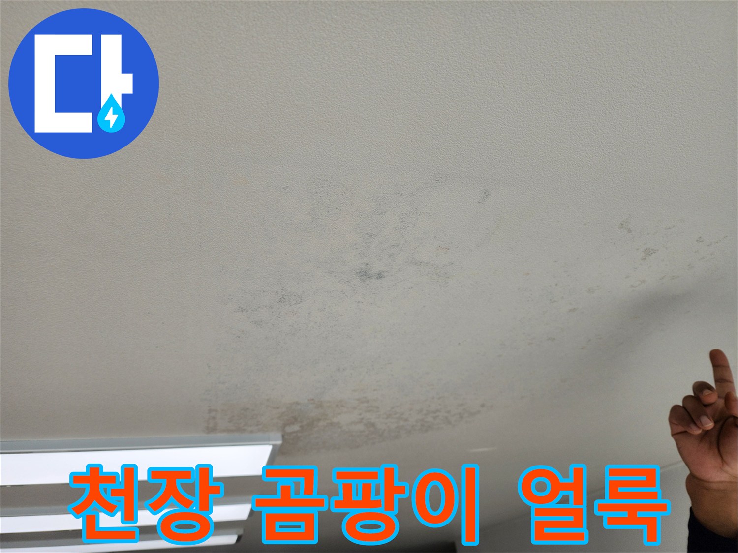 천장에 나타난 넓은 범위의 물자국과 곰팡이
