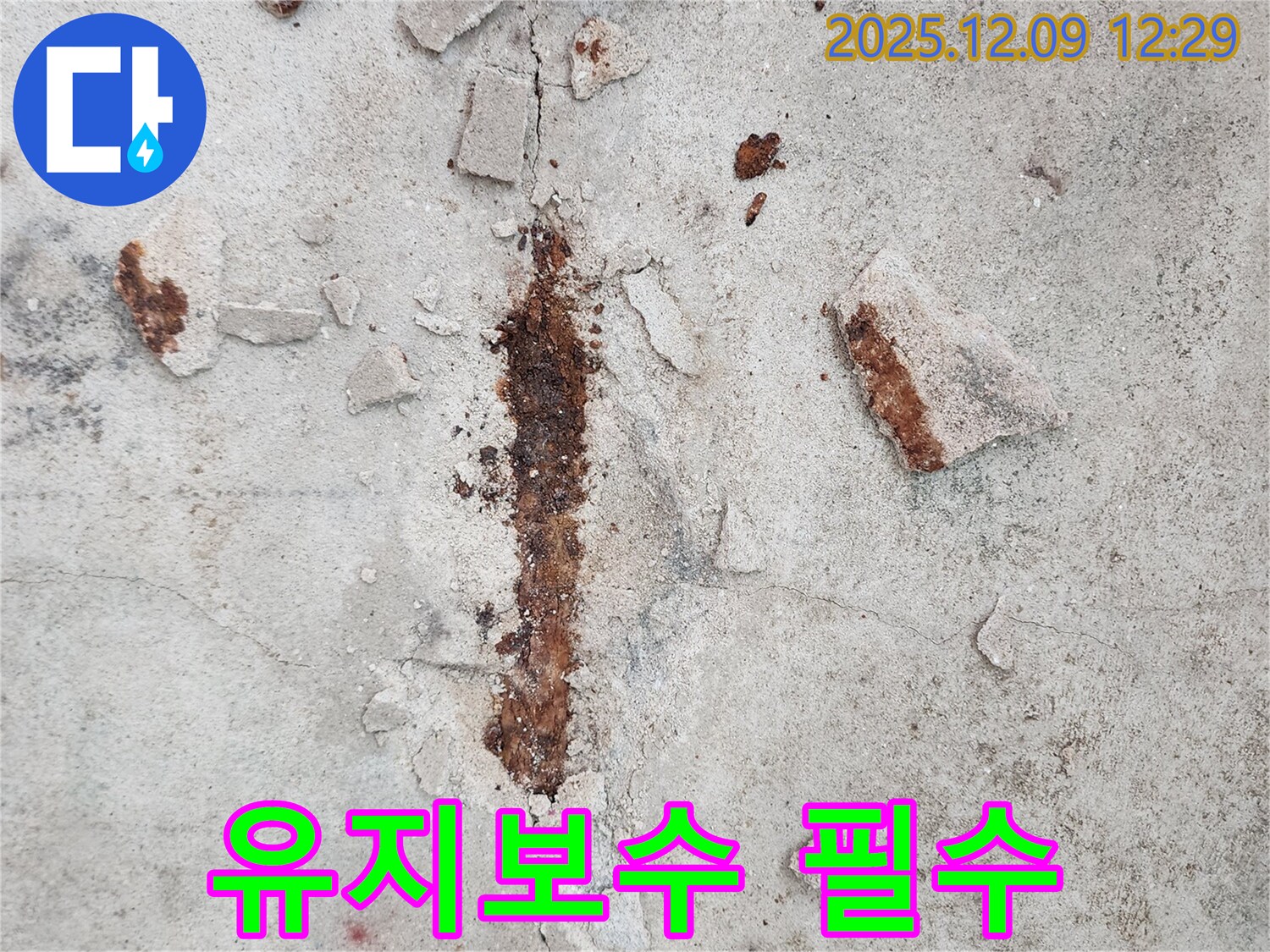 철근 부식 - 건물 유지보수의 필수 요소