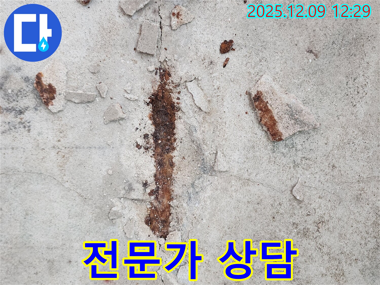 철근 부식 - 늦기 전에 전문가와 상담하세요