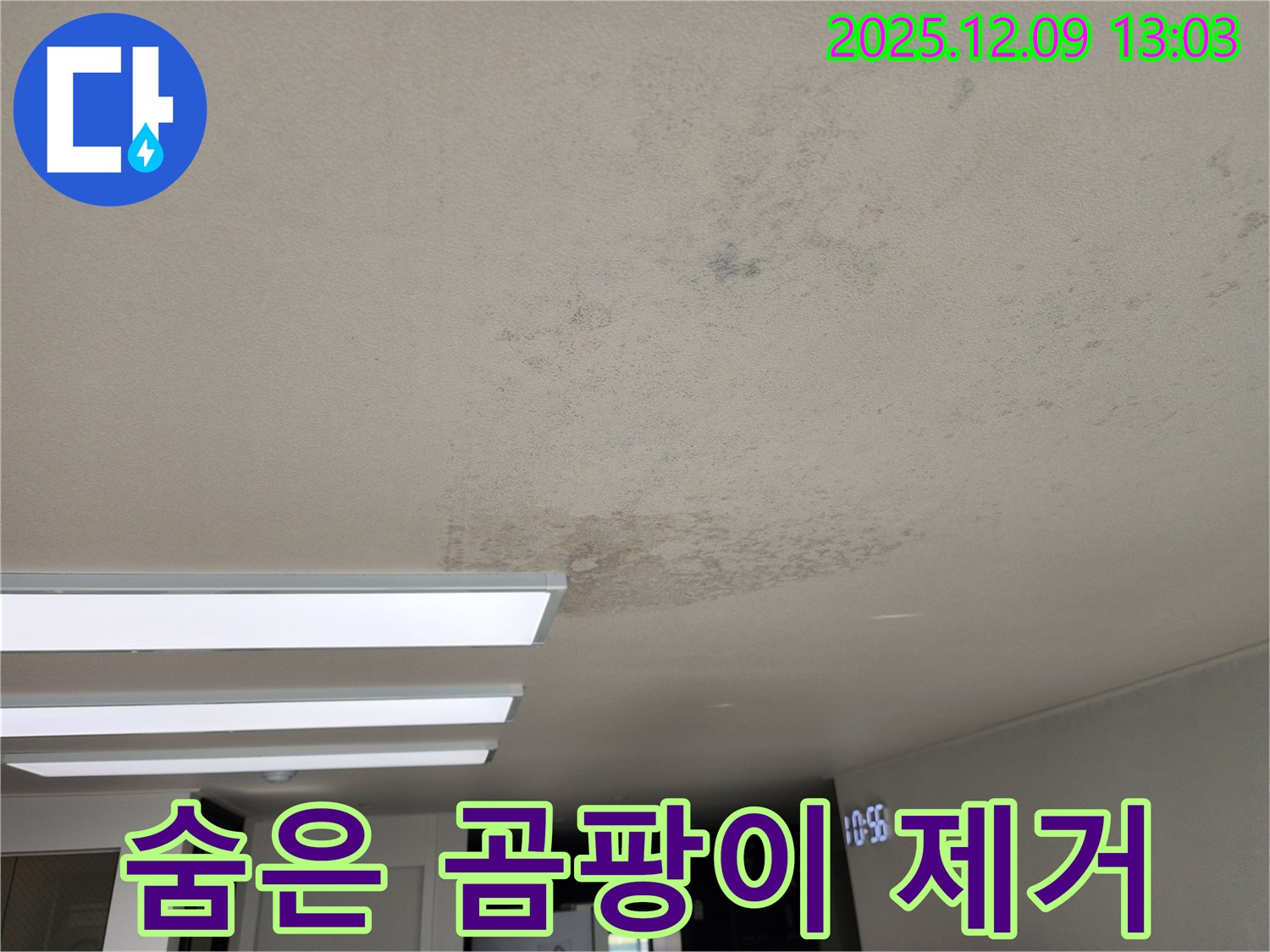 포천 영중면 - 곰팡이 숨어있는 곳까지 찾아 완벽 제거