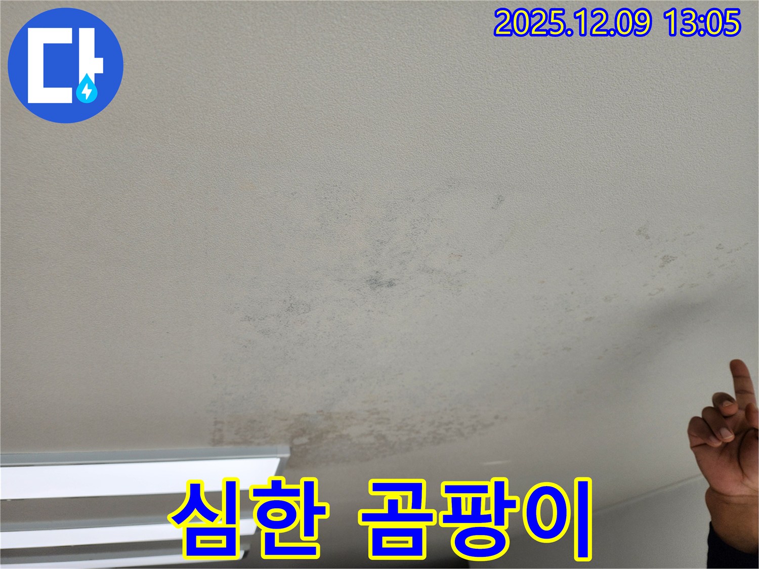 포천 영중면 누수 - 곰팡이 심한 천장, 누수 책임 시공으로 완벽 해결.