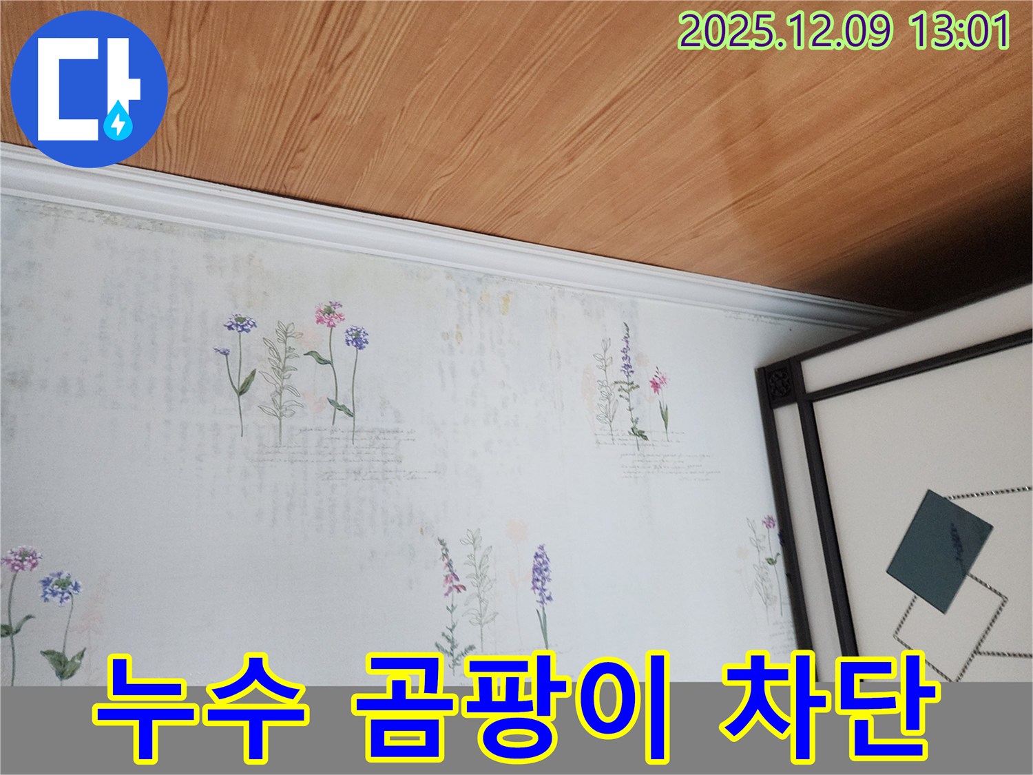 포천 영중면 누수 현장 - 곰팡이 발생 전 누수 완벽 차단