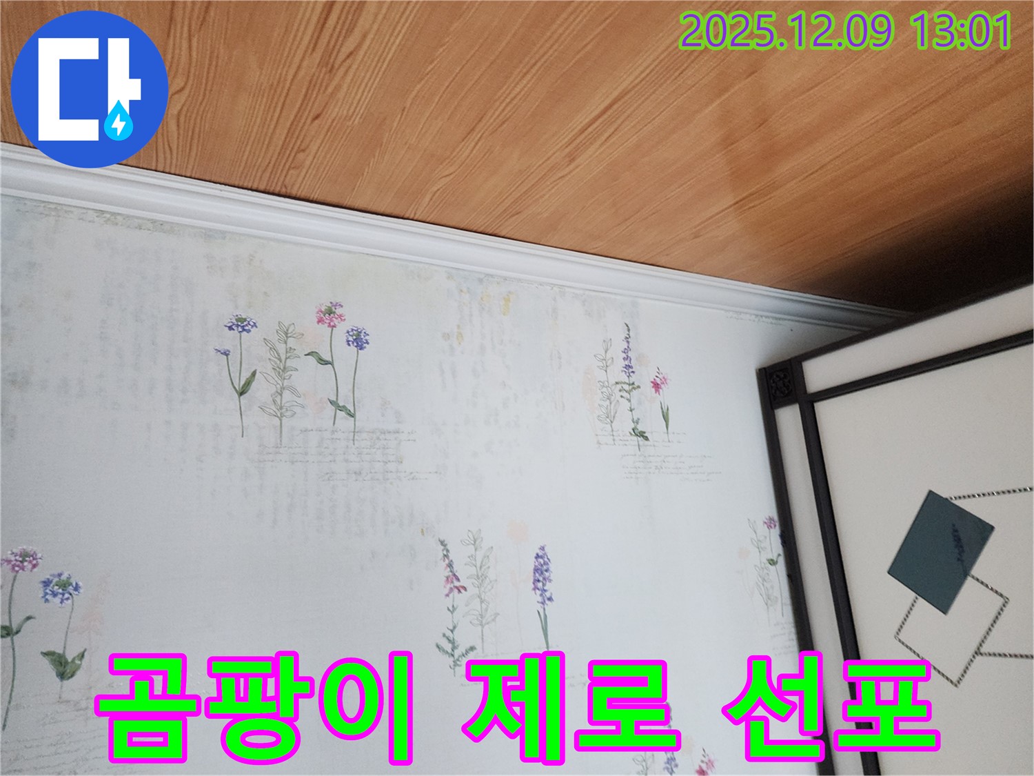 포천 영중면 누수 현장 - 곰팡이 제로 구역 선포 및 쾌적한 생활